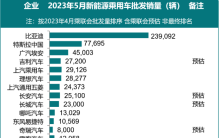 5月新能源汽车（乘用车）批发销量排名确定，含乘联会预估数据