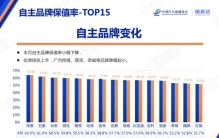 国产车别乱买 最新保值率榜单出炉 理想第五 比亚迪第十