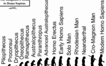 苏联科学家曾试图使“人猿杂交”，结果如何？真存在可行度吗？