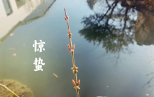 春雷惊醒了沉睡的植物，惊蛰这一天，它们是怎样快速生长的？