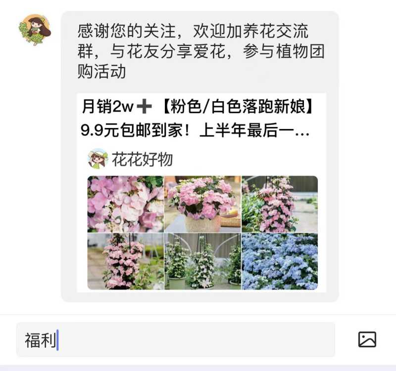 5岁小孩都能养的花，埋土里不用管，开花比脸大，年年生一窝球 