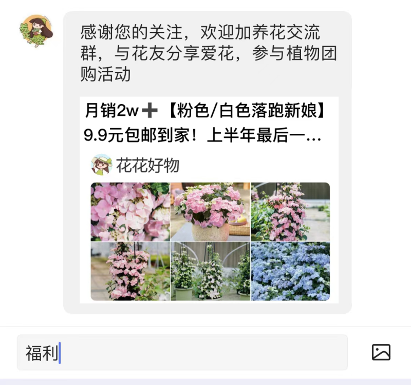 封闭阳台养花，选对植物很关键，选错了养一盆死一盆！ 