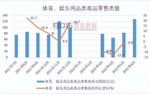 2022年上半年中国体育、娱乐用品类商品零售类值月度统计表