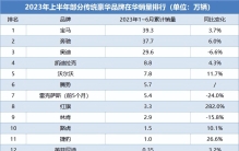 豪华车上半年销量：奥迪雷克萨斯“跳水”，一自主品牌暴涨近3倍