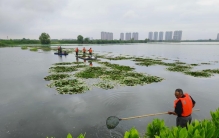 新时代中国调研行·长江篇丨湖北鄂州：从围湖养鱼到结网种草 湖乡美景催生“美丽经济”