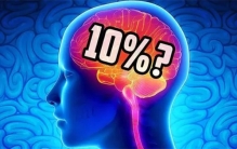 人的大脑只开发了10%？流传了百余年的谎言，真实情况如何呢？