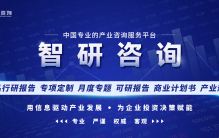 2023年7月中国乘用车品牌出口量排行榜（附月榜TOP30详单）