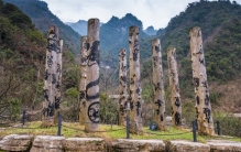 神农架景区神秘生物 驴头狼是否存在（秘密生物）