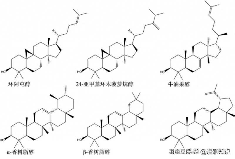 除强化食品外，植物油被认为是植物甾醇最丰富的来源之一 