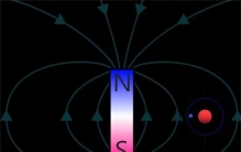 科学家把青蛙放入强磁场 最后结果让人震惊（强大磁场）