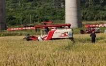 亩产1251.5公斤！“超级稻”创世界纪录