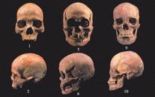 以骨论古，将骨论今：2022年人类骨骼考古盘点