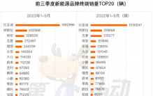 前三季度终端销量榜：比亚迪超特斯拉4倍 TOP5品牌占比超60%