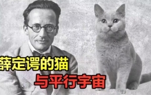 对于薛定谔的猫理论 其实有着两种解释（科学理论）