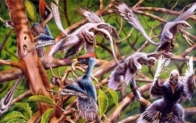 鸟类是如何进化的（从小型兽脚类恐龙逐步进化）