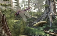 石炭纪“巨虫时代”蜈蚣2.4米 蜻蜓堪比喜鹊（富氧时代）
