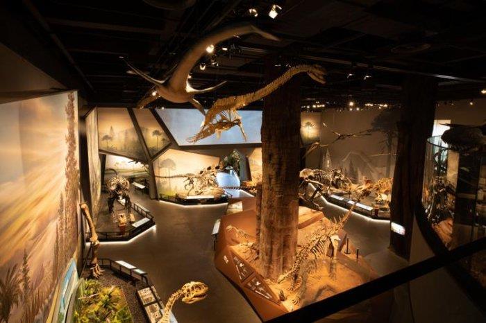 杭州十大著名博物馆排行榜，浙江自然博物馆排第一