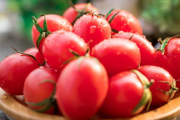 中国圣女果十大品种排行榜，朱莉小番茄居第三