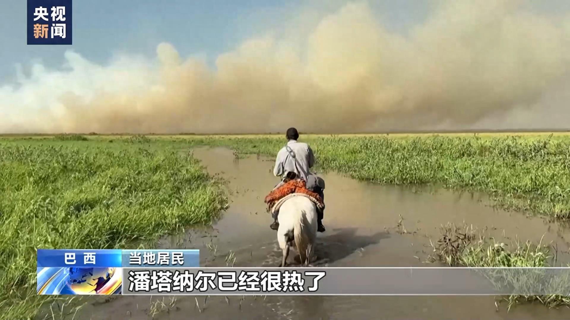 气候变化 过度烧荒 世界最大湿地火灾频发