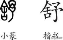 新说文解字:汉字奇葩乃世界之最