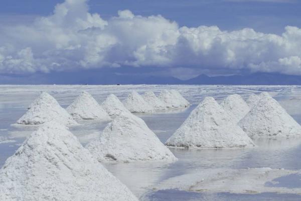 湖盐哪个产地好品质好？天然湖盐排名榜前十名