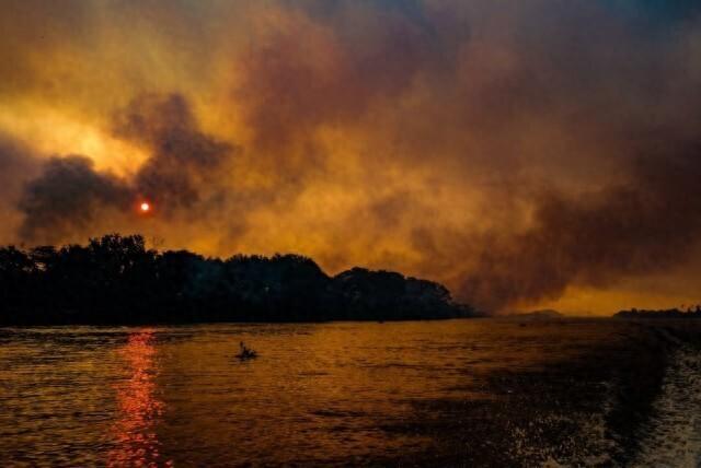 英媒：世界最大湿地今年连发火灾，烧毁面积超过76万公顷