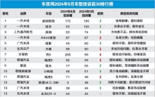 2024年9月国内汽车投诉排行出炉啦