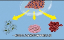 至今都还存在的人体十大未解之谜！？